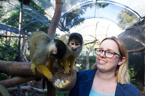 Adelaide Zoo Behind The Scenes Experience: Squirrel Monkey Feeding - Tourism Cairns 0