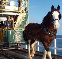 Full-Day Tour in South Australia Highlights