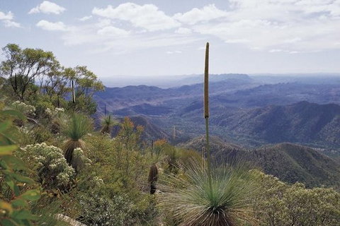 Flinders Ranges & Outback â€“ 3 Day Small Group Eco Safari - Tourism Cairns 1