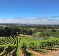 Small-Group Full-Day Adelaide Hills and Hahndorf Wine Tour from Adelaide