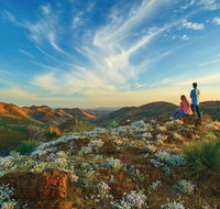 7-Night Murraylands and Wildlife Cruise