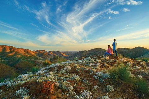 7-Night Murraylands And Wildlife Cruise - Tourism Cairns 0