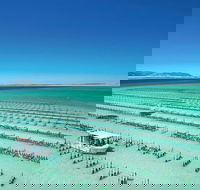 Coffin Bay Private Day Tour from Port Lincoln - A Taste of Coffin Bay - Tourism Cairns