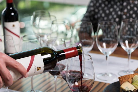 D'Arenberg McLaren Vale: The Dead Arm Shiraz Vertical Masterclass And Cheese Plate - Tourism Cairns 1