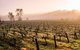 Barossa Valley Private Tour, It\'s Your Tour The Way You Want It!. - thumb 0