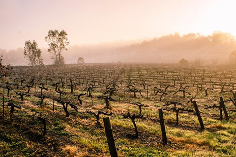 Barossa Valley Private Tour, It\'s Your Tour The Way You Want It!. - Tourism Cairns 2