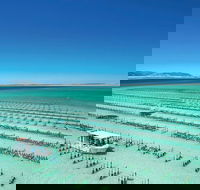 Coffin Bay Day Tour - A Taste of Coffin Bay - Tourism Cairns