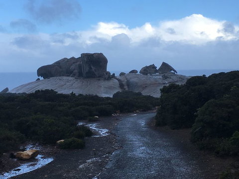 2-Day Kangaroo Island Tour From Adelaide - Tourism Cairns 20