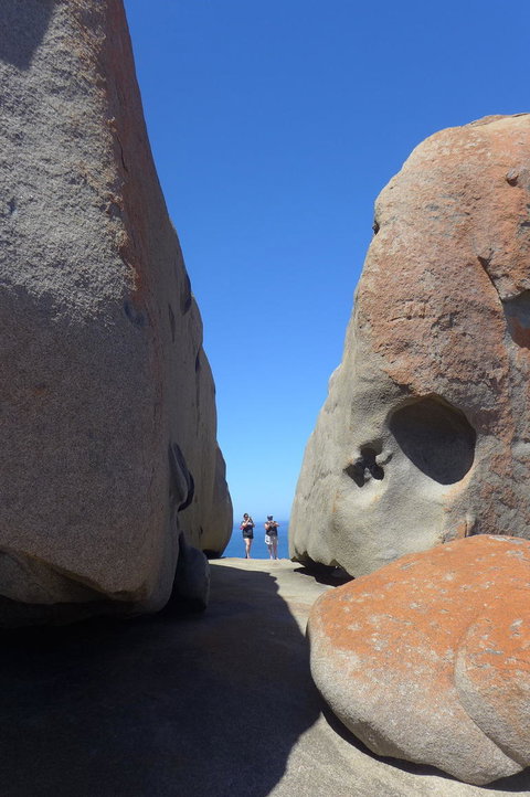2-Day Kangaroo Island Tour From Adelaide - Tourism Cairns 7
