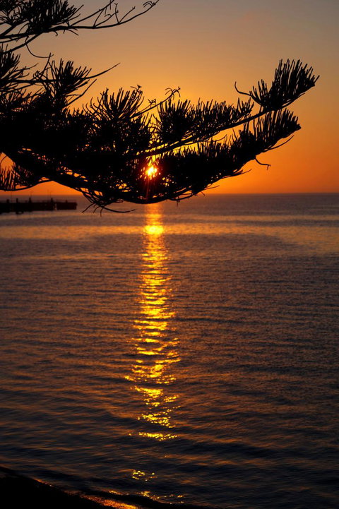 2-Day Kangaroo Island Tour From Adelaide - Tourism Cairns 14