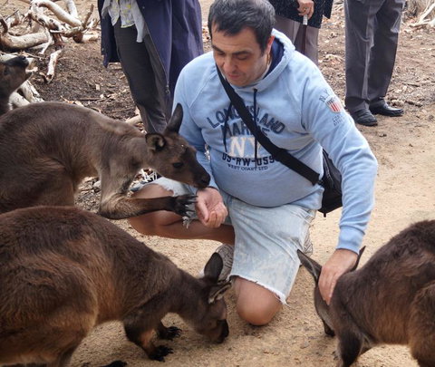 2-Day Kangaroo Island Tour From Adelaide - Tourism Cairns 15