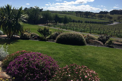 Private Winery Tour Chauffeured - Tourism Cairns 13