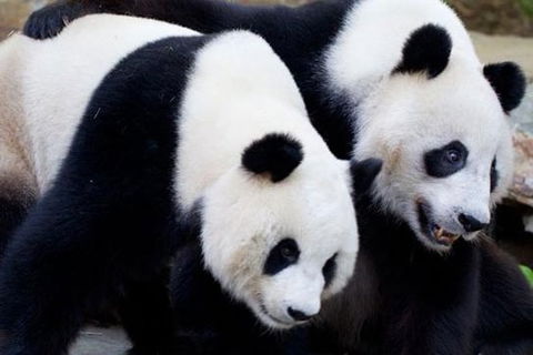 Adelaide City Tour With Optional River Cruise And Adelaide Zoo Admission - Tourism Cairns 1