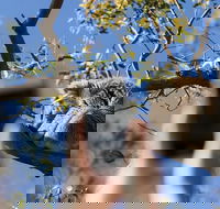 Exceptional Port Lincoln Seafood and Wildlife Tour - Tourism Cairns