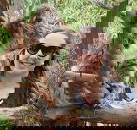 One Day Port Lincoln Tour - Tasting Eyre - Tourism Cairns