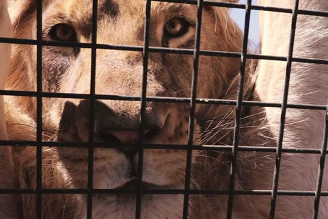 Adelaide Bar Boys Adelaide Hills Experience - Tourism Cairns 1