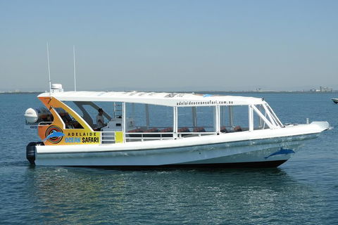Adelaide Ocean Safari - Wild Dolphin Safari - Tourism Cairns 0
