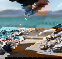 Experience Coffin Bay Oyster Farm and Bay Tour - Tourism Cairns