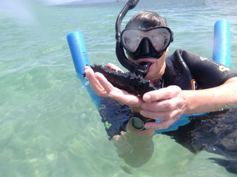 Great Barrier Reef Sailing And Snorkeling Cruise From Port Douglas - Tourism Cairns 4
