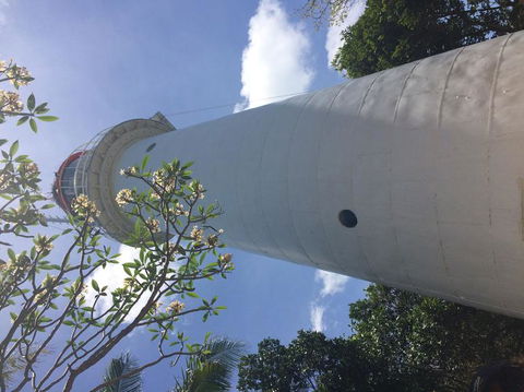 Great Barrier Reef Sailing And Snorkeling Cruise From Port Douglas - Tourism Cairns 2