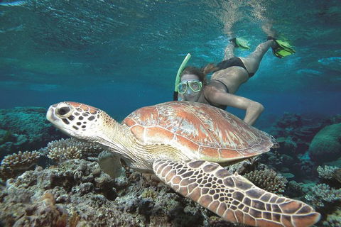 Great Barrier Reef Sailing And Snorkeling Cruise From Port Douglas - Tourism Cairns 0