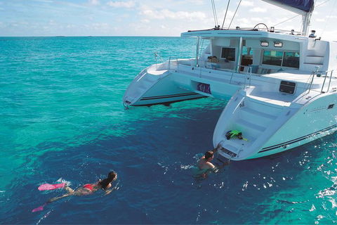 Great Barrier Reef Sailing And Snorkeling Cruise From Port Douglas - Tourism Cairns 6