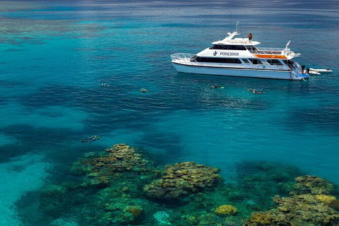 Poseidon Outer Great Barrier Reef Snorkeling And Diving Cruise From Port Douglas - Tourism Cairns 2