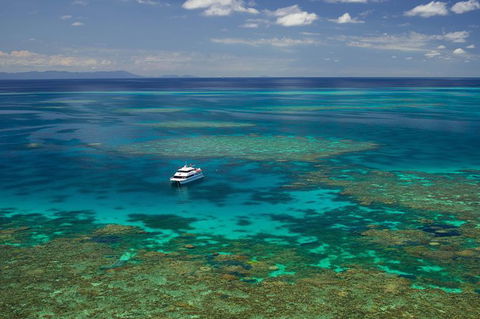Poseidon Outer Great Barrier Reef Snorkeling And Diving Cruise From Port Douglas - Tourism Cairns 5