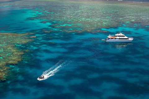 Poseidon Outer Great Barrier Reef Snorkeling And Diving Cruise From Port Douglas - Tourism Cairns 9