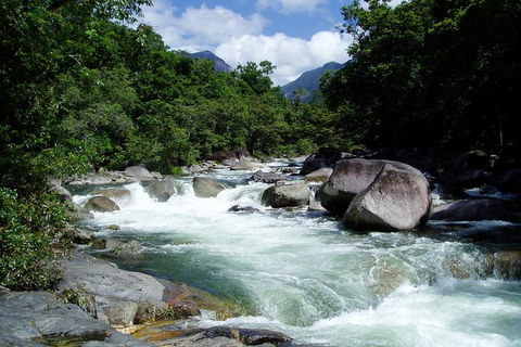 Daintree Rainforest, Cape Tribulation, Mossman Gorge In A Day - Tourism Cairns 0