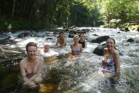 Daintree Rainforest, Cape Tribulation, Mossman Gorge In A Day - Tourism Cairns 10