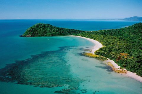 Daintree Rainforest, Cape Tribulation, Mossman Gorge In A Day - Tourism Cairns 6