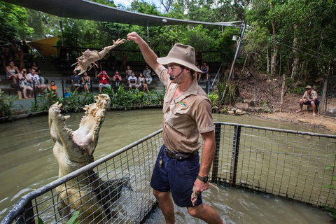 Full-Day Tour With Kuranda Scenic Railway, Skyrail Rainforest Cableway, And Hartley's Crocodile Adventures From Cairns - Tourism Cairns 1