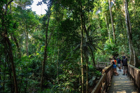 Full Day Daintree Rainforest And Mossman Gorge Tour - Tourism Cairns 10