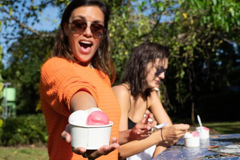 Full Day Daintree Rainforest And Mossman Gorge Tour - Tourism Cairns 9