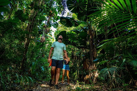 Full Day Daintree Rainforest And Mossman Gorge Tour - Tourism Cairns 12