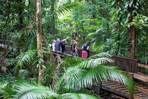 Full Day Daintree Rainforest And Mossman Gorge Tour - Tourism Cairns 2