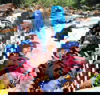 Tully River Full-Day White Water Rafting from Cairns including Lunch - Tourism Cairns