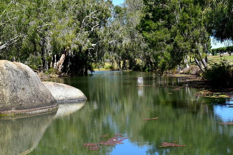 Daintree - Cape Tribulation & Atherton Tablelands Tours From Port Douglas - Tourism Cairns 28
