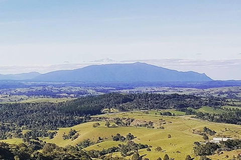 Daintree - Cape Tribulation & Atherton Tablelands Tours From Port Douglas - Tourism Cairns 10