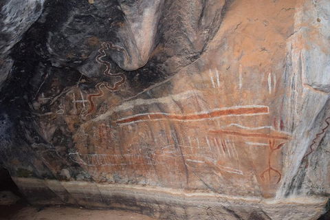 Daintree - Cape Tribulation & Atherton Tablelands Tours From Port Douglas - Tourism Cairns 15