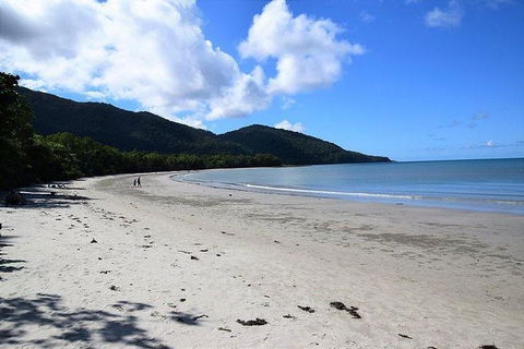 Daintree - Cape Tribulation & Atherton Tablelands Tours From Port Douglas - Tourism Cairns 18