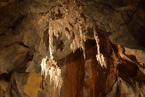 Daintree - Cape Tribulation & Atherton Tablelands Tours From Port Douglas - Tourism Cairns 23