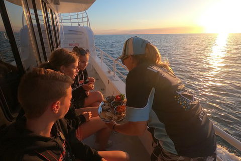 Hervey Bay Whale Watching Experience - Tourism Cairns 15