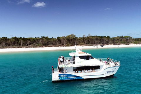 Hervey Bay Whale Watching Experience - Tourism Cairns 11