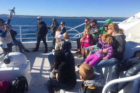 Hervey Bay Whale Watching Experience - Tourism Cairns 10