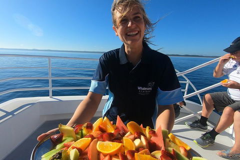 Hervey Bay Whale Watching Experience - Tourism Cairns 5