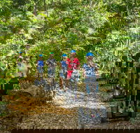 Whitsunday Segway Rainforest Discovery Tour - Tourism Cairns