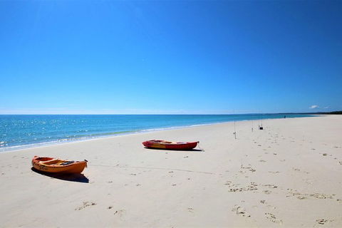Fraser Island West Coast BBQ Lunch Cruise From Hervey Bay Including Kayaking And Swimming - Tourism Cairns 8