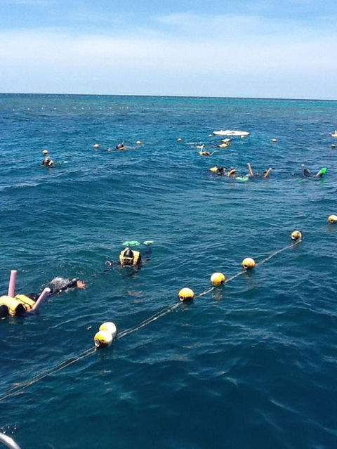 Quicksilver Outer Great Barrier Reef Snorkel Cruise From Port Douglas - Tourism Cairns 2